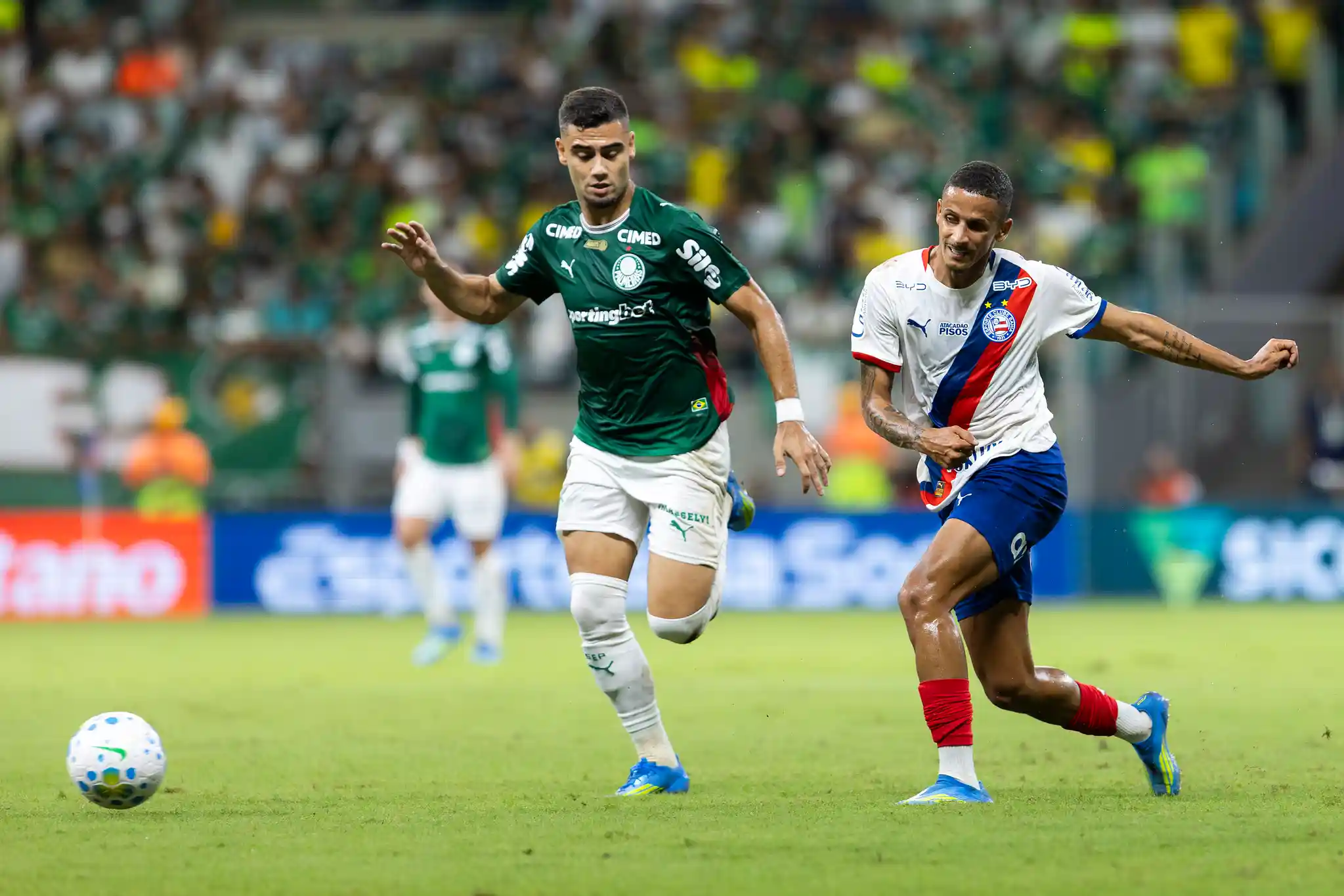 Palmeiras e Bahia se enfrentam no Campeonato Brasileiro