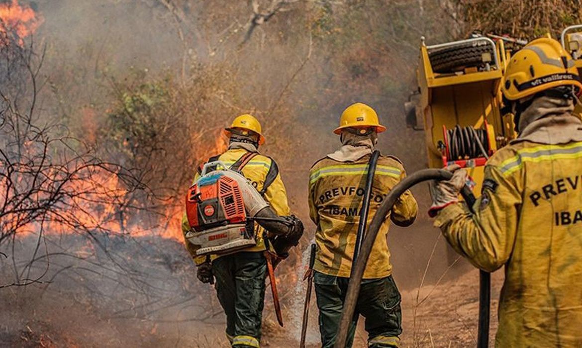 Estado de emergência declarado em 36 cidades do Amazonas devido a incêndios