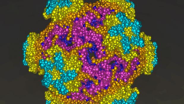 HPV: dados iniciais do teste de prevenção do câncer de colo do útero no SUS