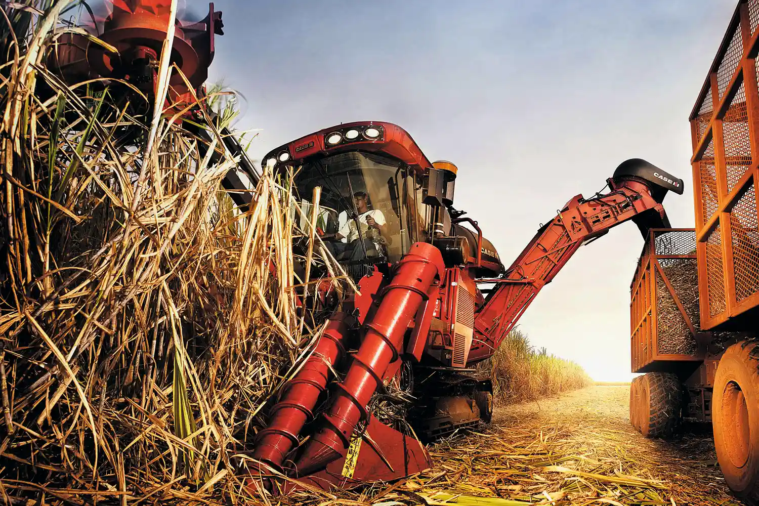 Estudo da Embrapa alerta sobre a poluição das águas no agronegócio