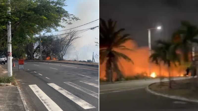Incêndios em áreas verdes de Stella Maris ocorrem em menos de 24 horas