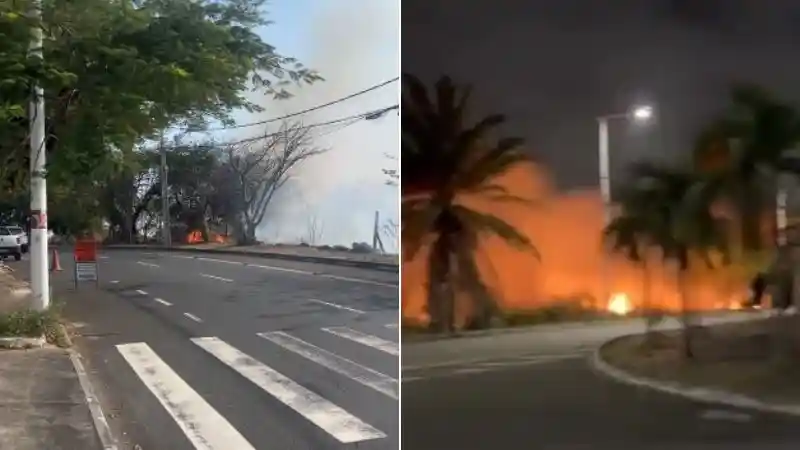 Incêndios em áreas verdes de Stella Maris ocorrem em menos de 24 horas