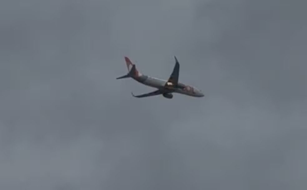 Avião da Gol retorna ao Recife após colisão com pássaro