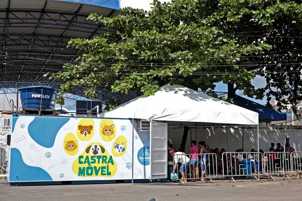 Imagem de Castr ação gratuita de cães e gatos na Avenida Paralela começa hoje