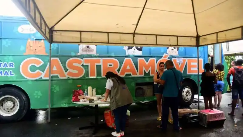 Imagem de Castramóvel inicia castração gratuita de cães e gatos em Salvador