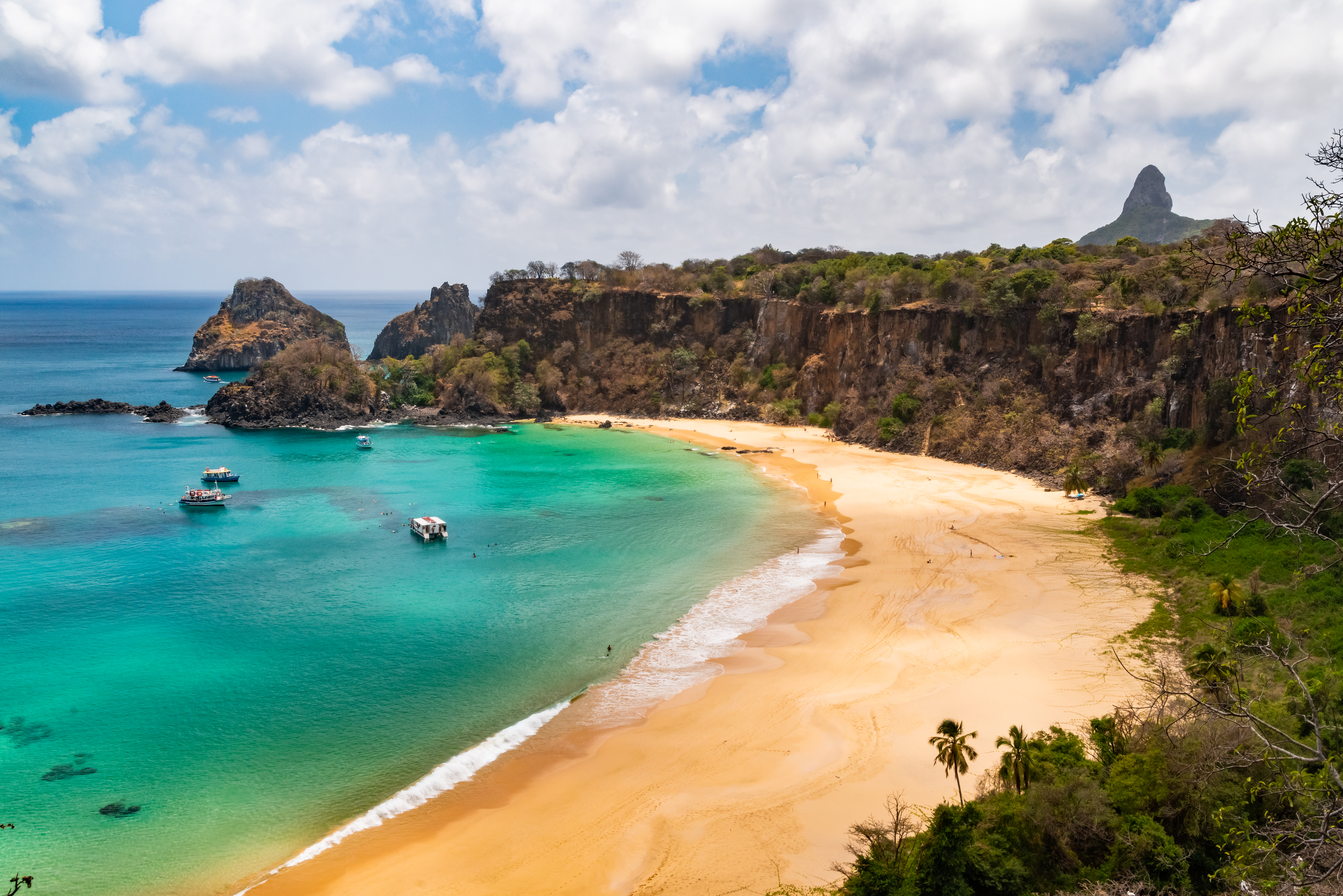 Entenda por que partos são proibidos em Fernando de Noronha