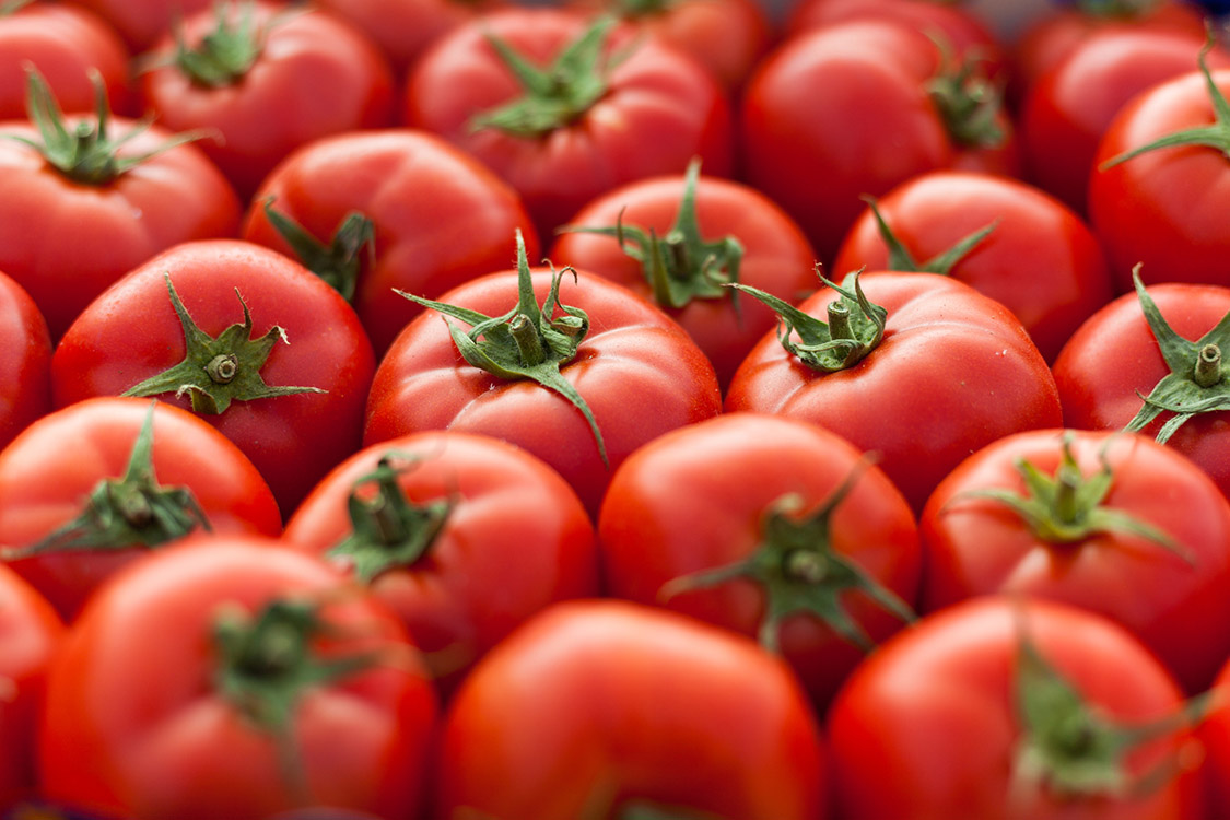 Molho de tomate pode ajudar a combater gordura no fígado