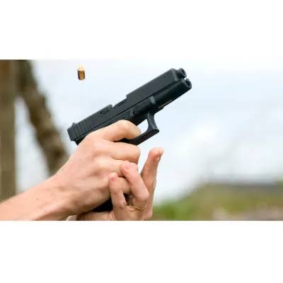 Câmara aprova ampliação do porte de arma para diversas profissões