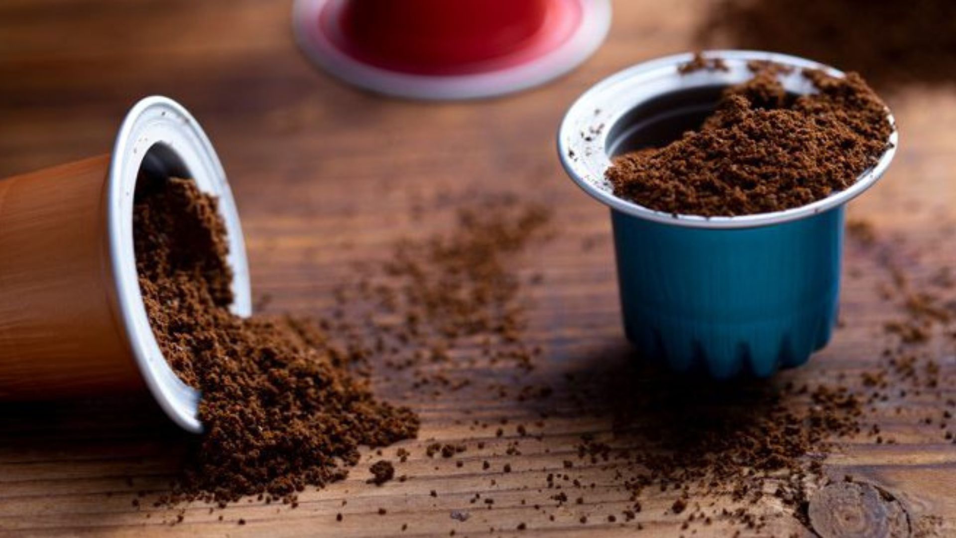 Anvisa proíbe venda de produtos da marca Moringa da Paz