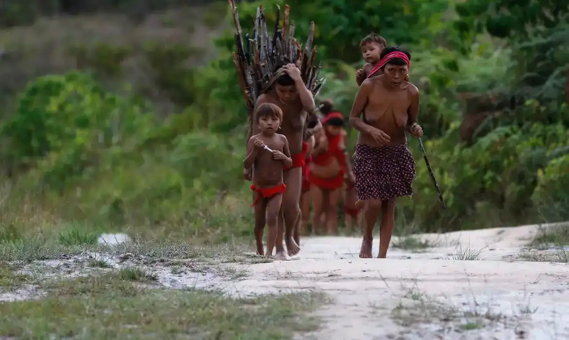 Imagem de MPF investiga contrato do governo com ONG vinculada ao PT na Terra Yanomami