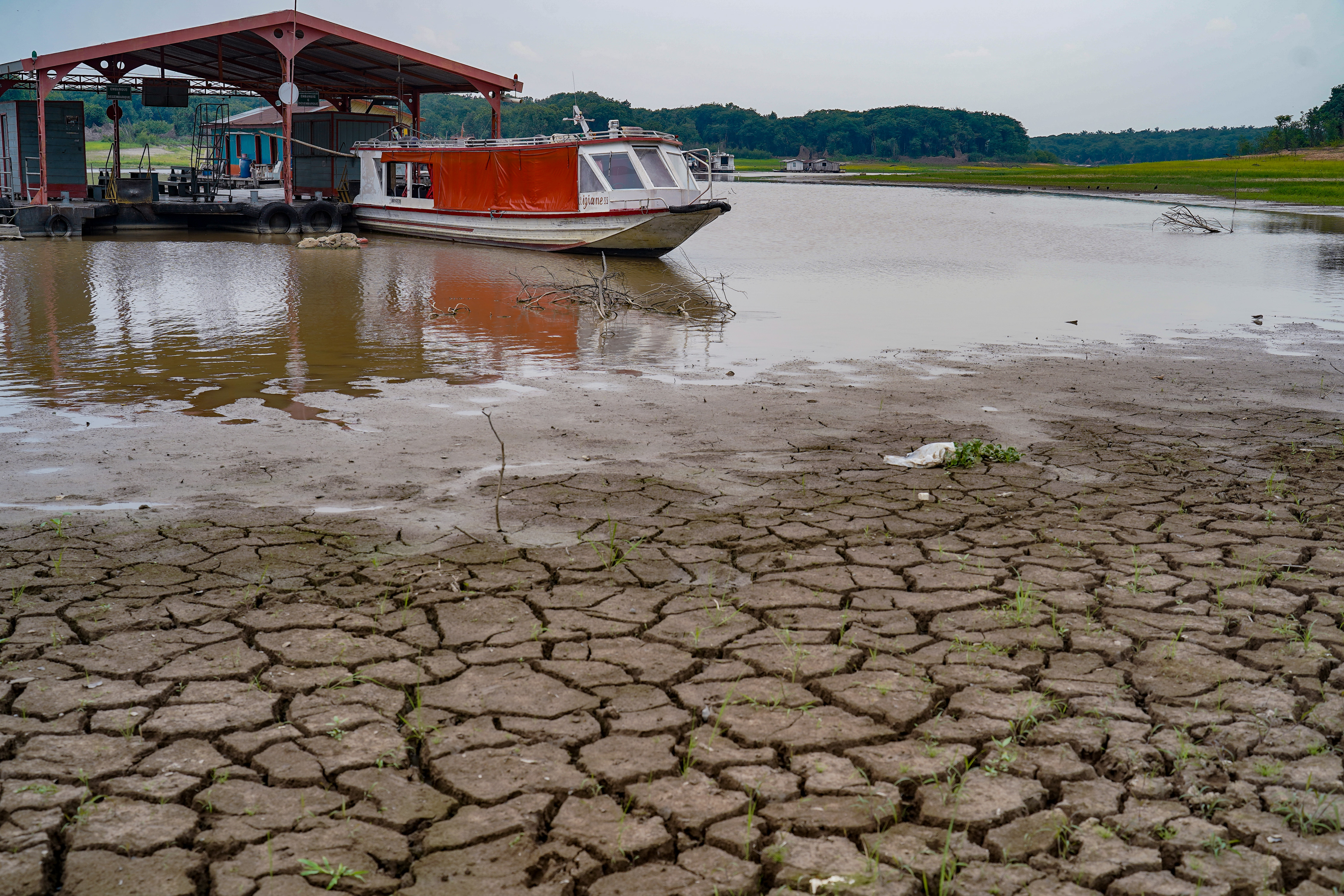 Governo federal implementa ações para mitigar os efeitos da seca no Nordeste devido ao El Niño