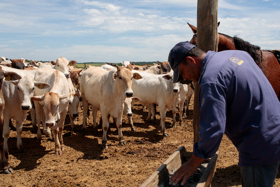 CNA critica veto da União Europeia à carne brasileira e pede ação do governo