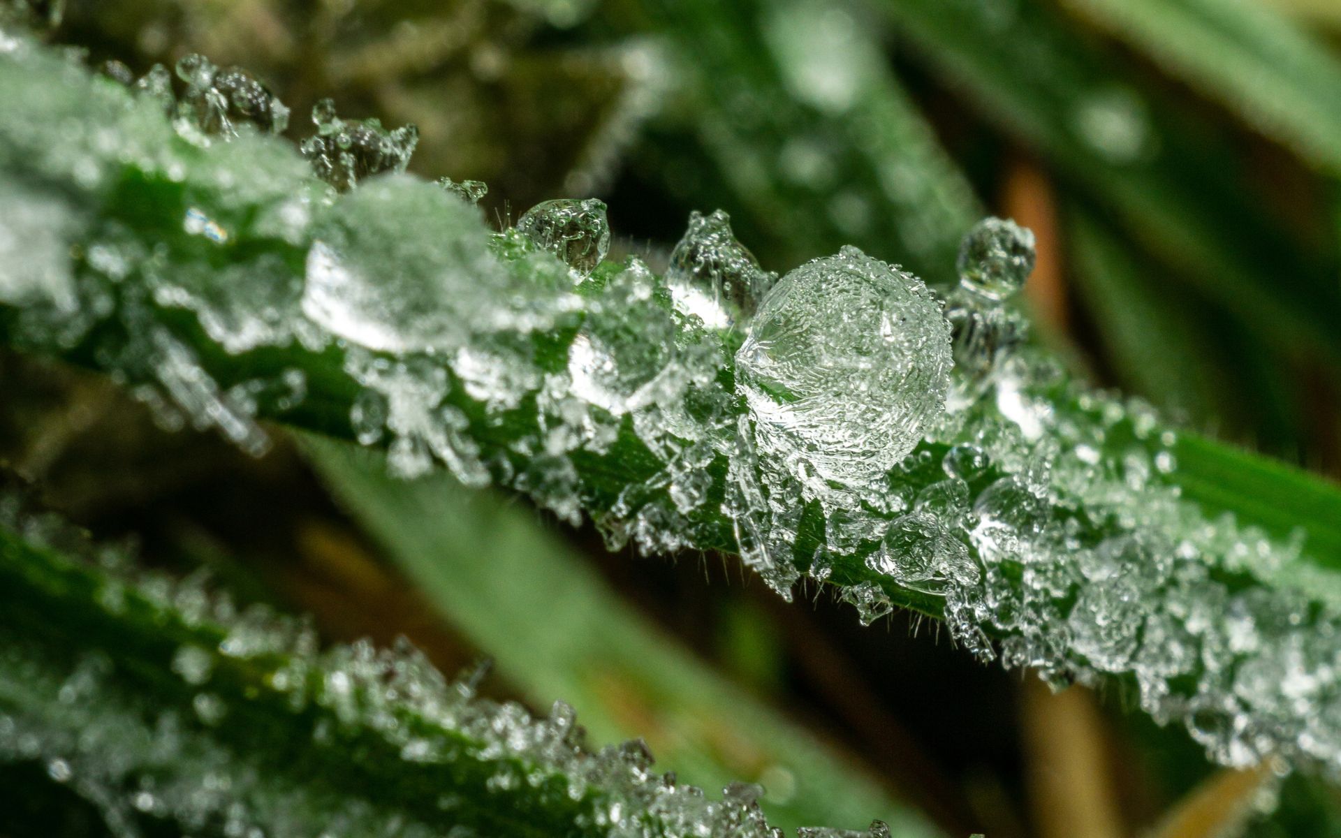 Santa Catarina em alerta vermelho após chuvas de granizo