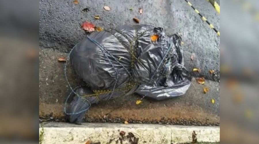 Investigação apura assassinatos em série em São Paulo