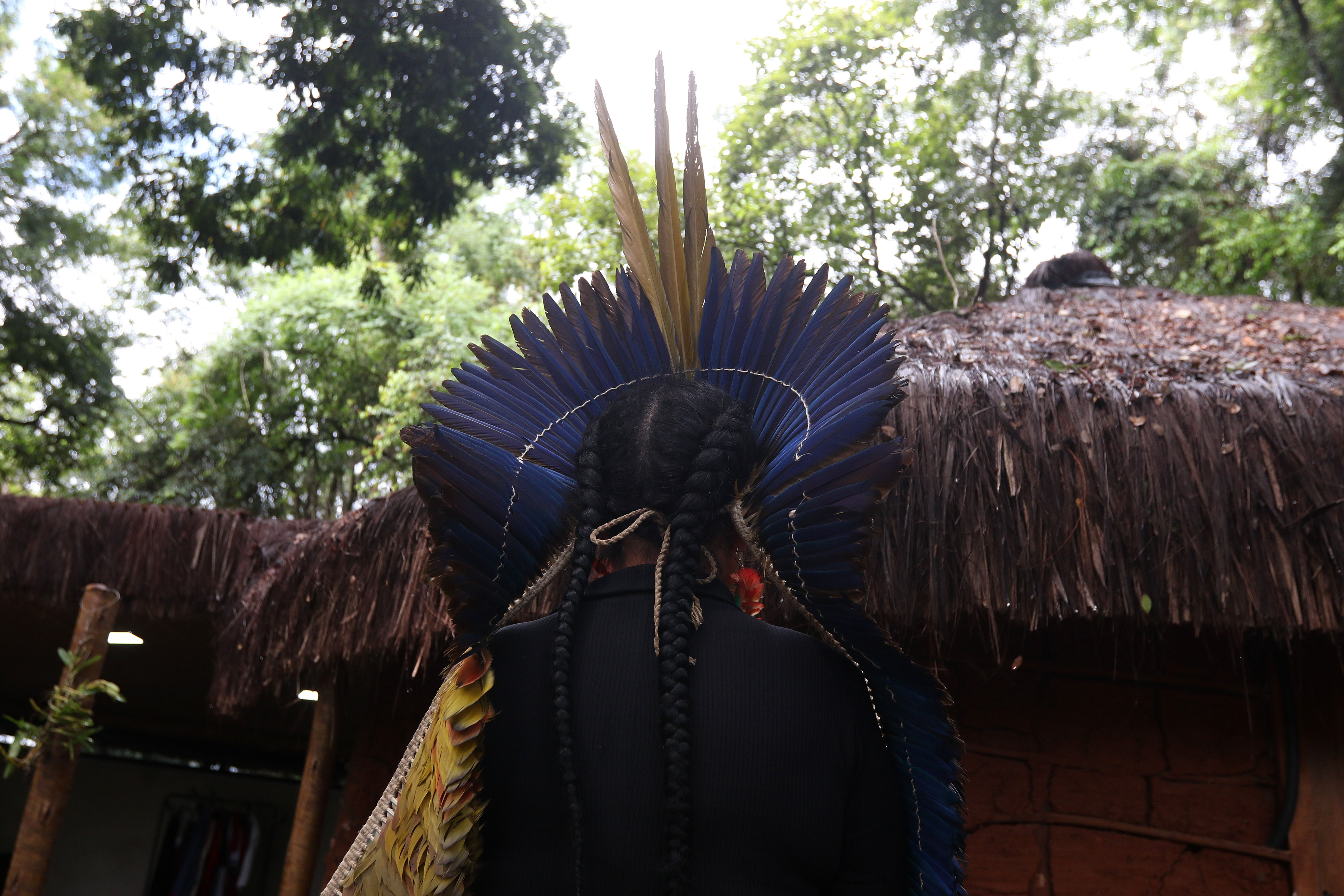 Justiça impede despejos de comunidades Pataxó na Bahia