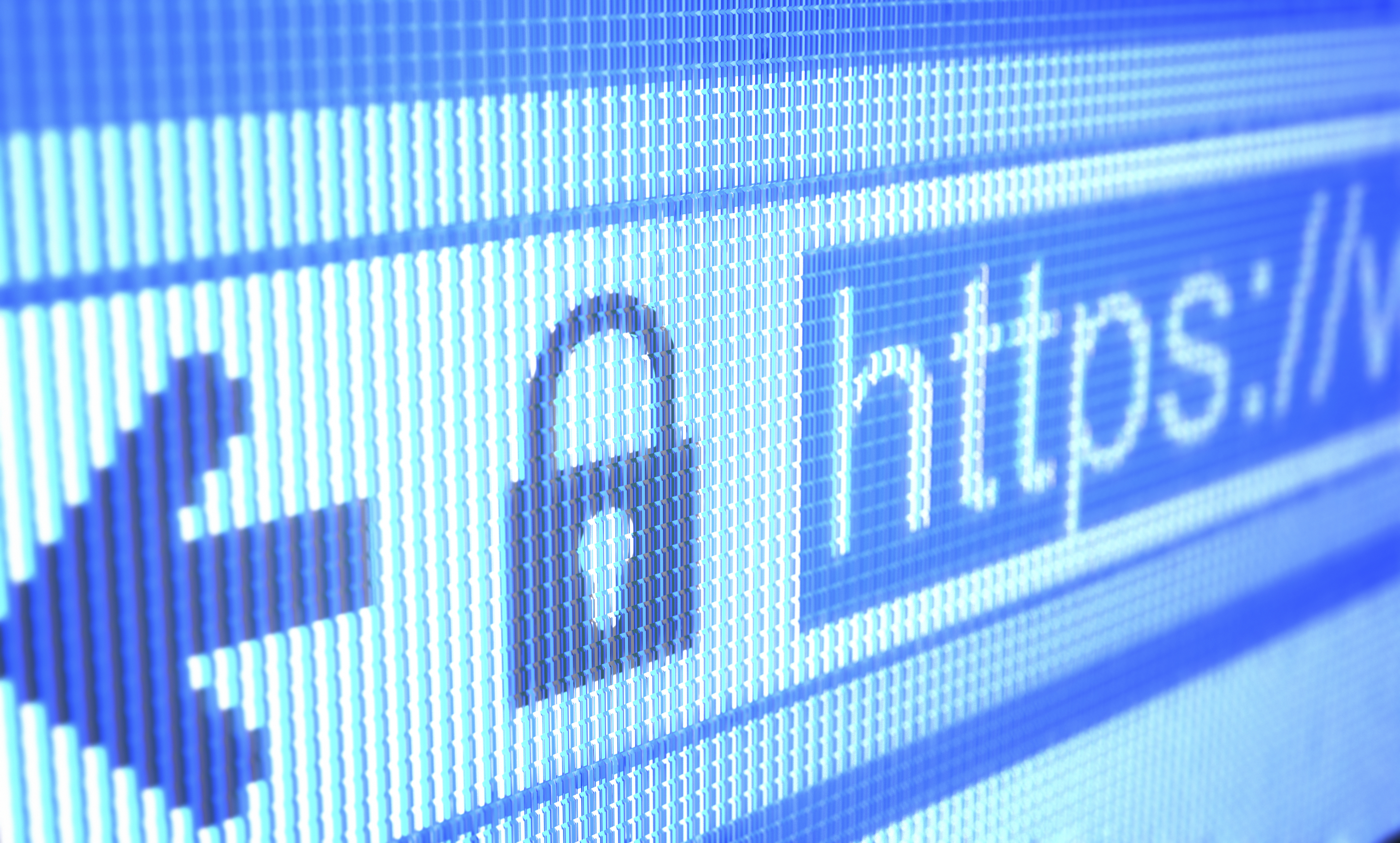 Pesquisa revela comportamento reativo dos brasileiros em relação a fraudes digitais